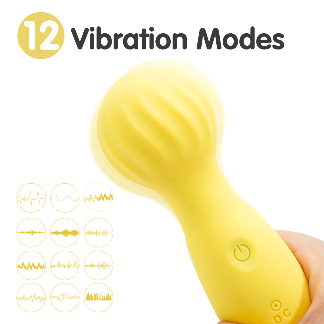 BrightJoy AV Small Vibrator